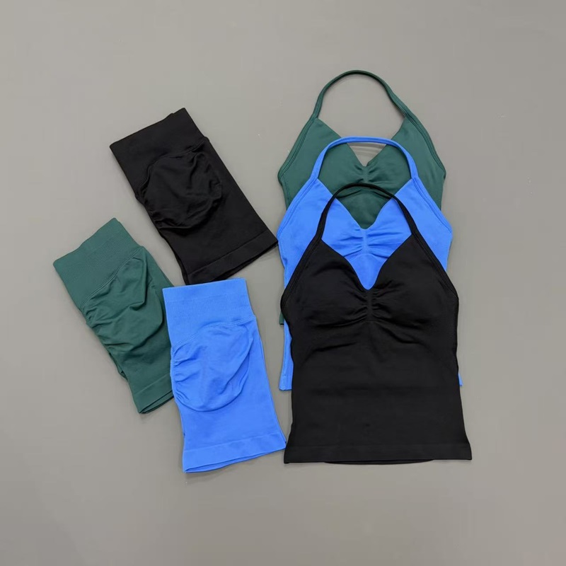 2 Piece Gym Set Women Seamless - Pilates Yoga Gear 评论和价格